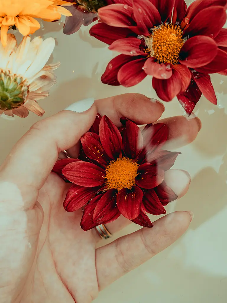 Flowers in the Water Flowers in the Water